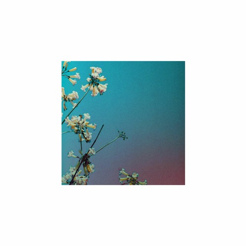 Aries - MIMOSA [best quality snippet]