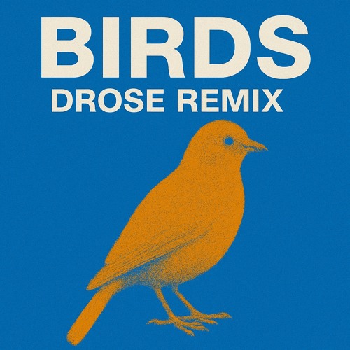 BIRDS (Turnstile Remix) - DROSE