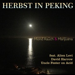 UND DER MOND (UNKLE FESTER ON ACID MIX)