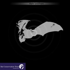 NightSkyActivity - BrackenDub by Zann Acoustics