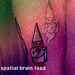 spatial brain foood.