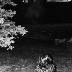 amy bruce spaceshow - 17 live @ the cool ranch