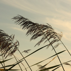 Air Meditation for Mental Clarity