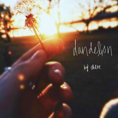 dandelion