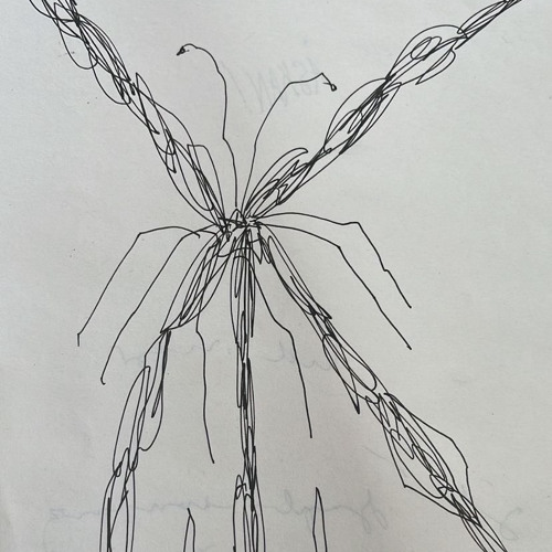 flowering (kiryano cloudbxy nulko)