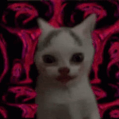 git commit -m "wip..."