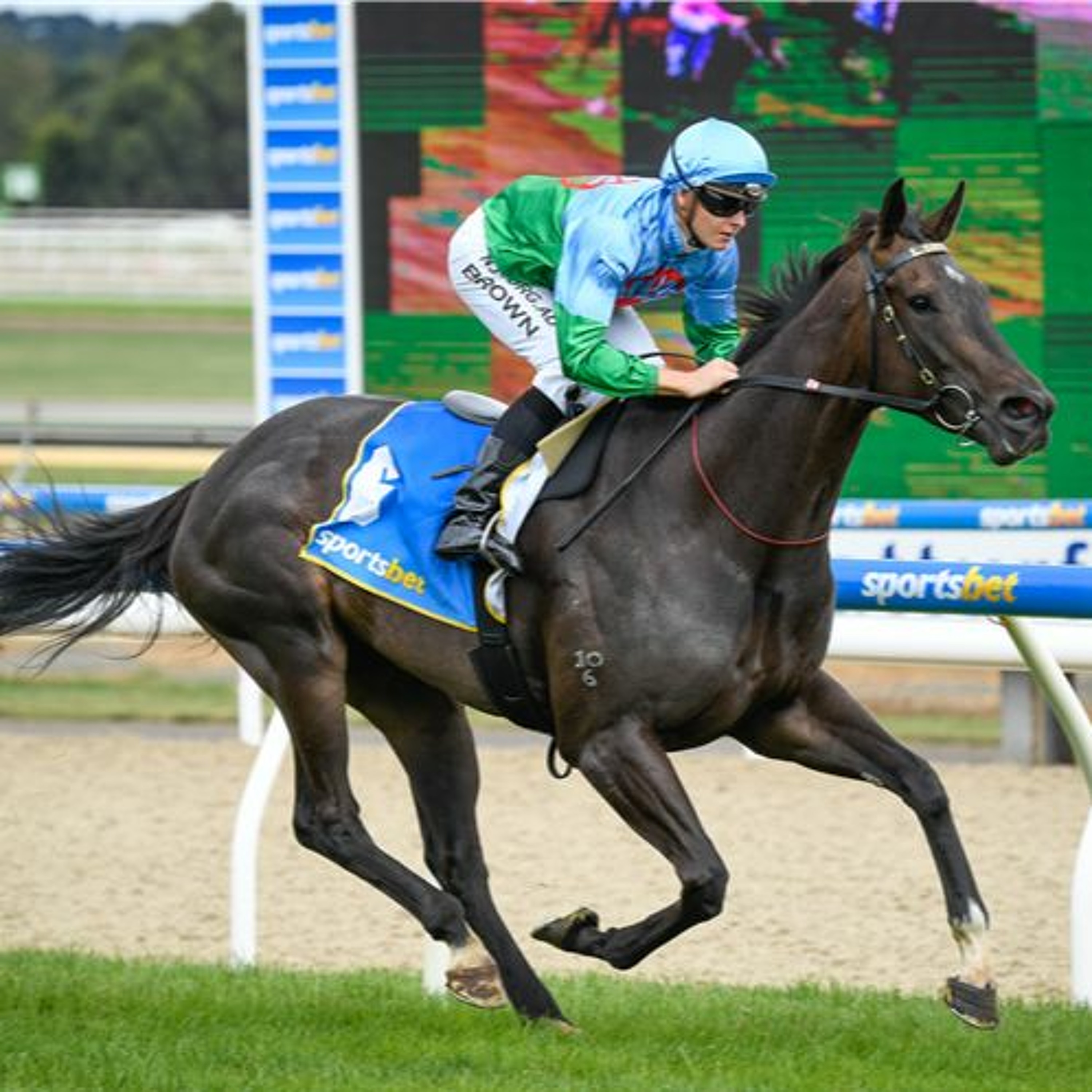 The Bool Day 1 Punting Preview