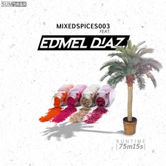 MIXEDSPICES003 Feat. Edmel Diaz