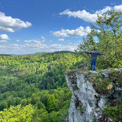 pitwilk at Home 08.12.2025