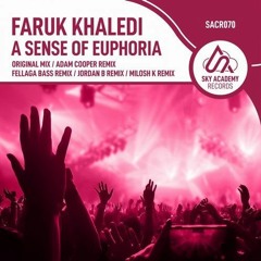 A Sense Of Euphoria (Adam Cooper Remix) - Faruk Khaledi