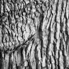 Submarine Sessions 15 - Essex 3