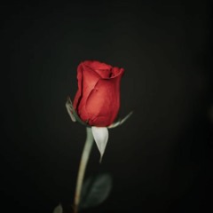 Gud Karma "Out Of Love"