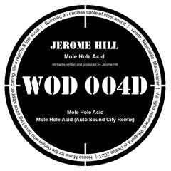 Mole Hole Acid