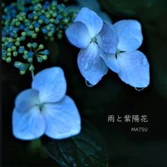 雨と紫陽花