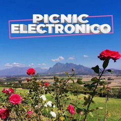 Picnic Electronico / Frank Osorio set ( 29/01/2022 ), Paarl , Western Cape , SA