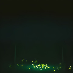 COUNTRY - CANZONI DEL BOSCO - LE LUCCIOLE CANTANO - RELEASE - Mimosa