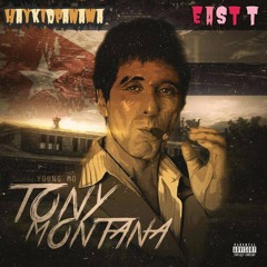 haypan - TONY MOTANA  2025-09-19 04_39.m4a