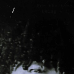 She Love me/Love me not