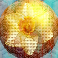 Future Islands - Deep in The Night (Flip)