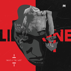 Lil Wayne - Grove Party (feat. Lil B)
