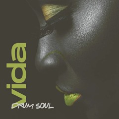 Drum Soul - Vida (Tech Mix)