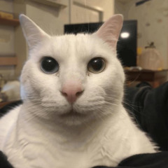 [DEAD SIGNAL OST] Elevator Music