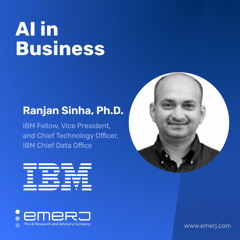 Fostering Responsible AI Outcomes through Operations and Developer Workflows - with Ranjan Sinha of IBM