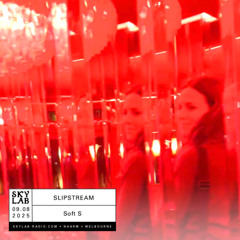 | SLIPSTREAM | w/ Soft S |E21