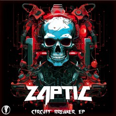 Zaptic - Serious Business
