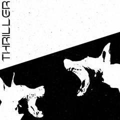 STUCA X SUAHN - Thriller