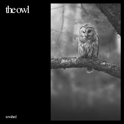 پخش و دانلود آهنگ The Owl | Free Sad Instrumental HipHop Beat - بیت غمگین رپ هیپ هاپ رایگان دانلود از XoVahed
