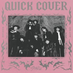 Stray Kids "Do It" (Quick Cover)