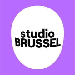 SB IP Gouden Festival bandje - stoofvlees