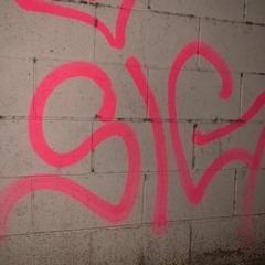 sig.carlito archive