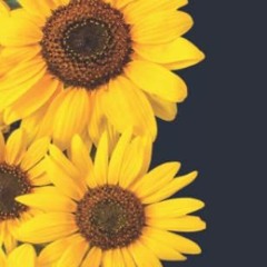 [ACCESS] [EBOOK EPUB KINDLE PDF] Pocket calendar with Sunflower: At a glance 2023-202