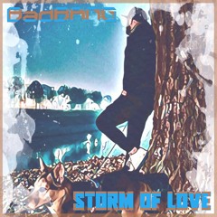 Storm of Love (Radio Mix)