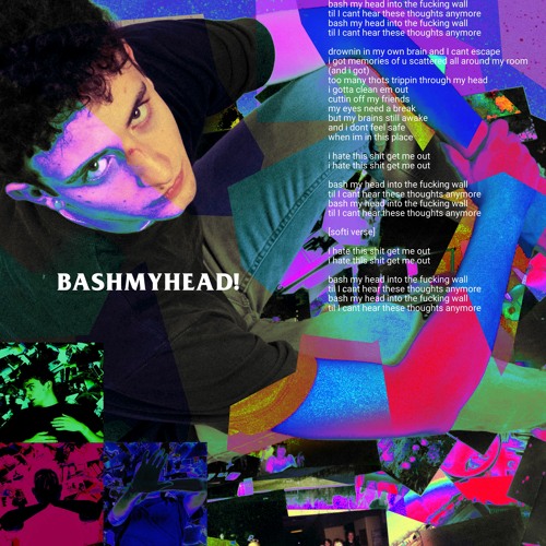 BASHMYHEAD! (ft. luvvsofti) [video in desc.]