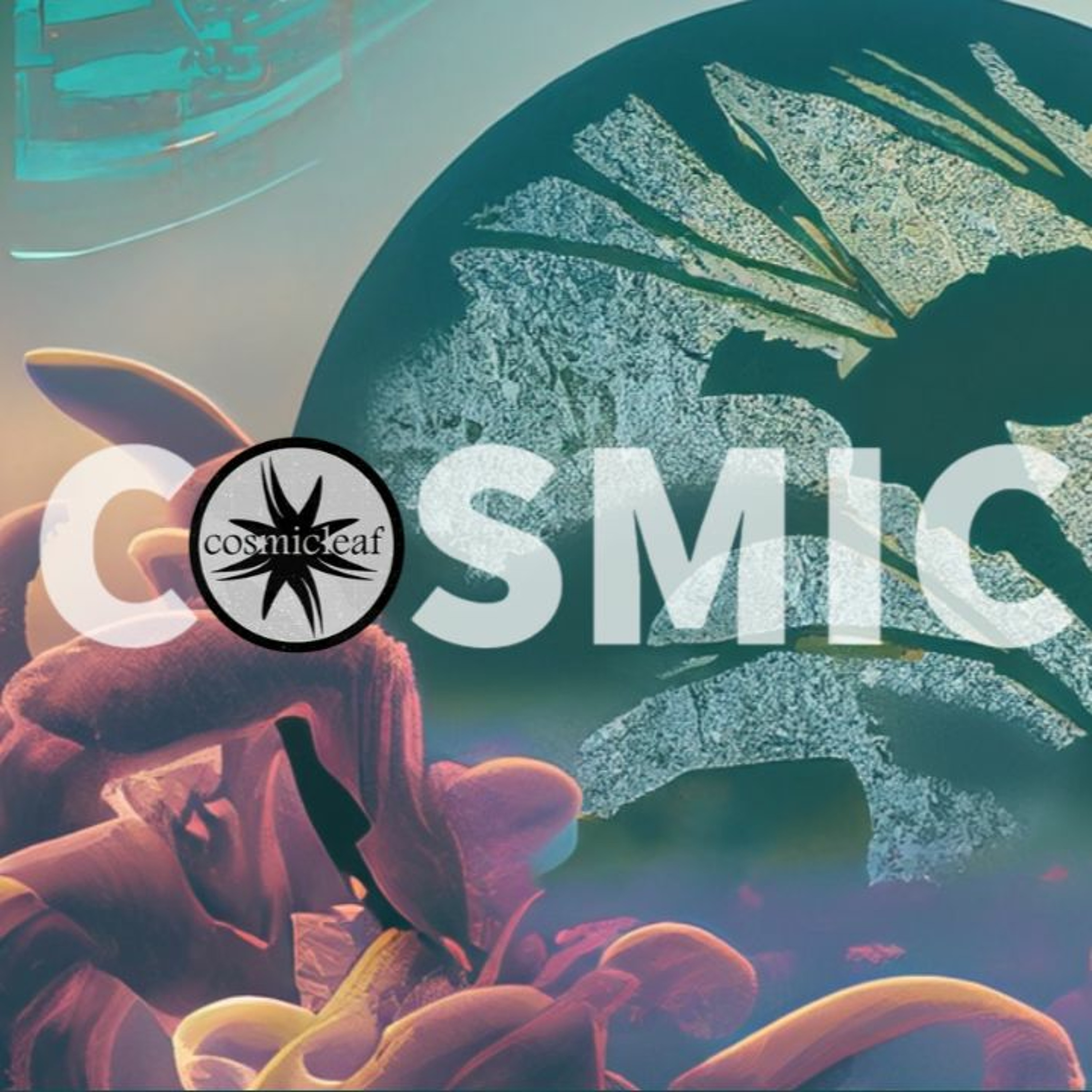 Side Liner (#downtempo) Renil Edis (#techno)