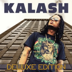 Kalash - Ne m'en veux pas