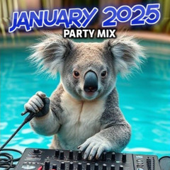 2025 January Party Mix DJTK