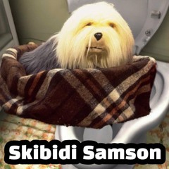 Skibidi Samson
