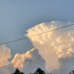 Red Light Ft. Trae Rez