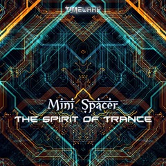 03 - Mini Spacer - The Call Of Our Ancestors