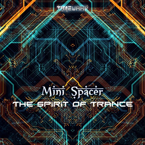 03 - Mini Spacer - The Call Of Our Ancestors
