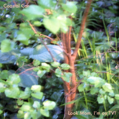 COASTAL CAR - NEGATIVES TO POSITIVES (LOOK MOM)