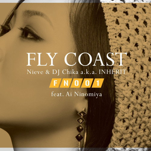 Flight Number 001