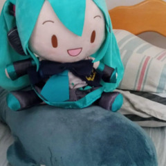 miku won't follow back me