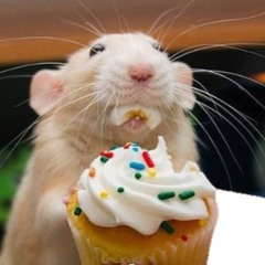 Cupcake Rats (Silly Lyrics in Description)