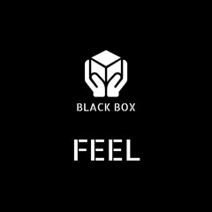 Black Box - Feel