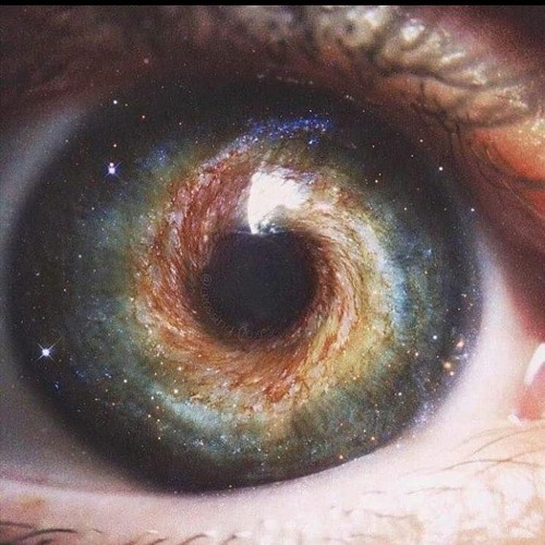 HumanError - Survivor